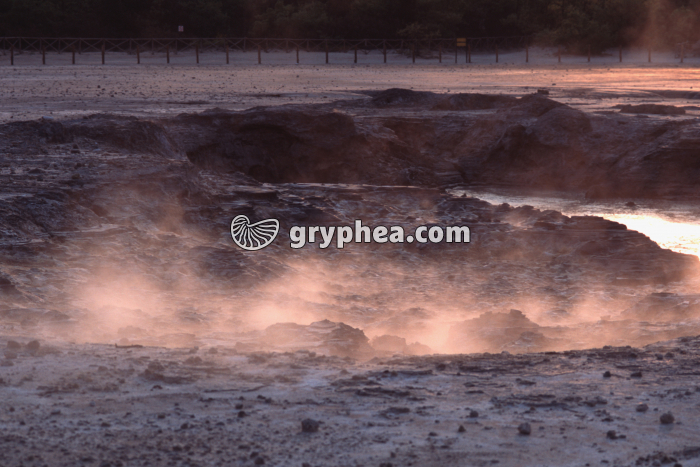 Solfatares Pozzuoli (Italie) - gryphea.org